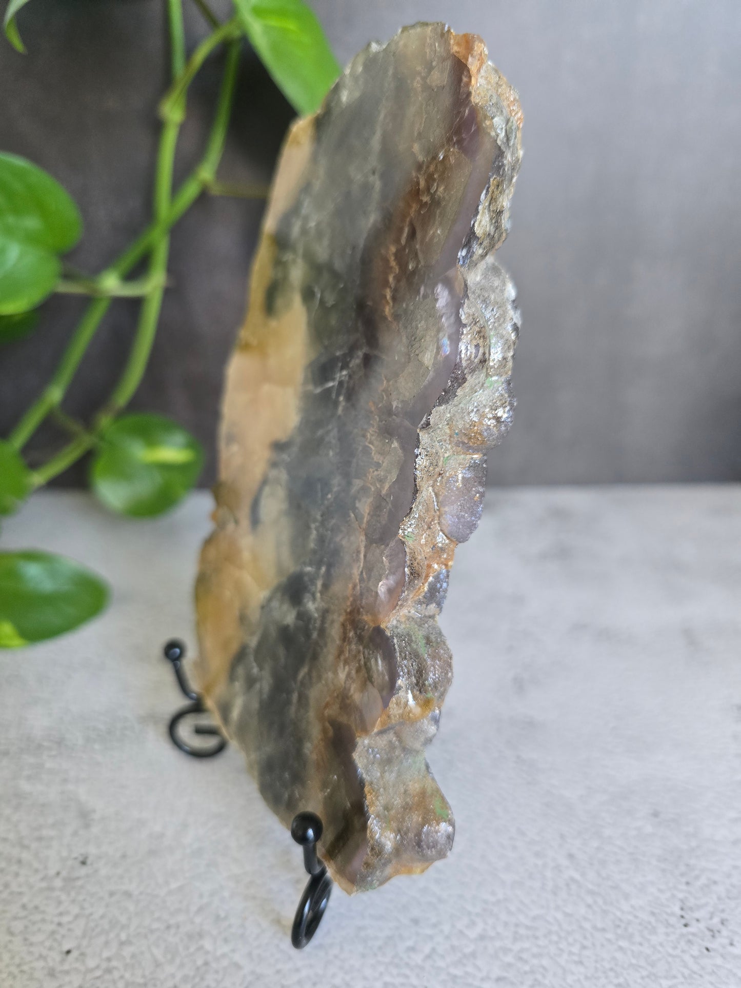 Yellow and Purple Fluorite Slab