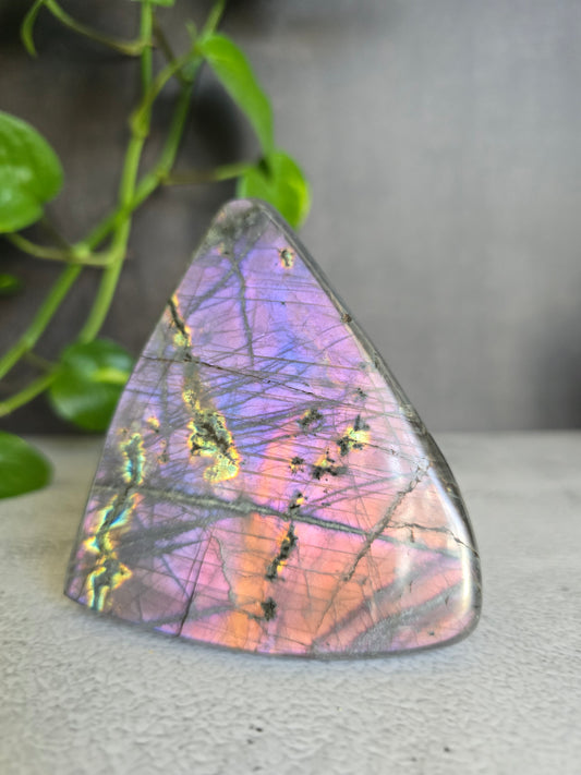 Purple and Pink Flash Labradorite Free Form