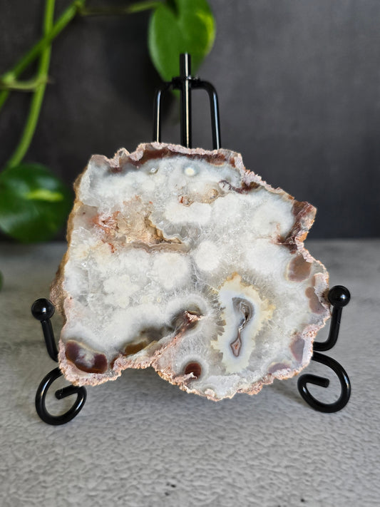 Argentinian Crazy Lace Agate Slab