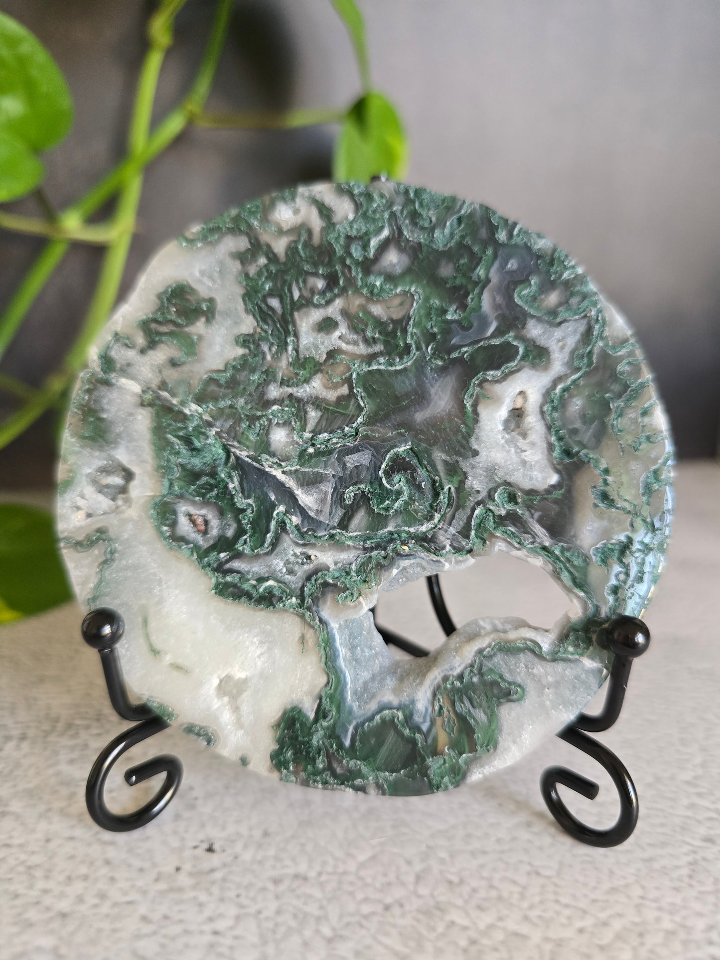 Moss Agate Disc