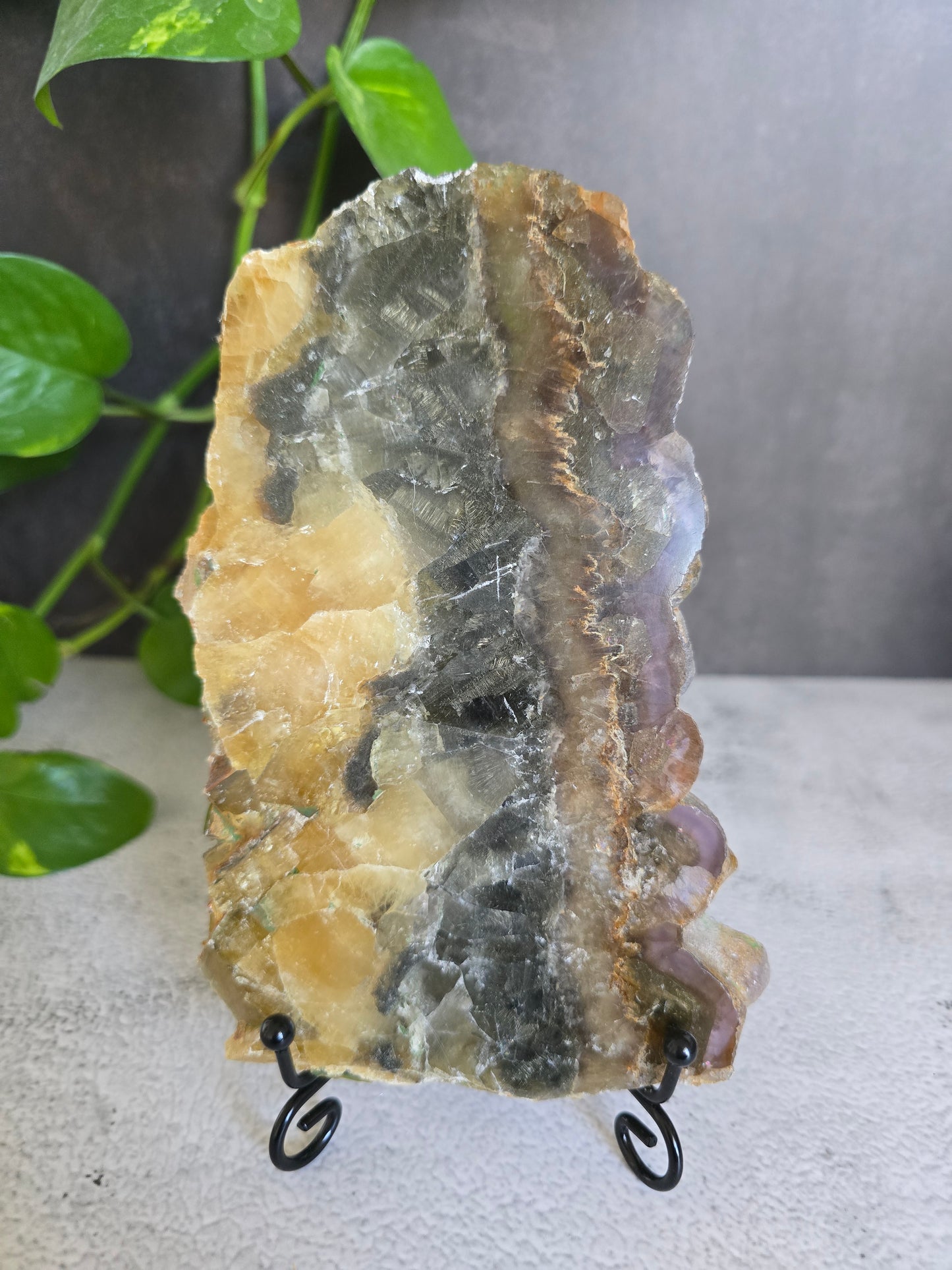 Yellow and Purple Fluorite Slab