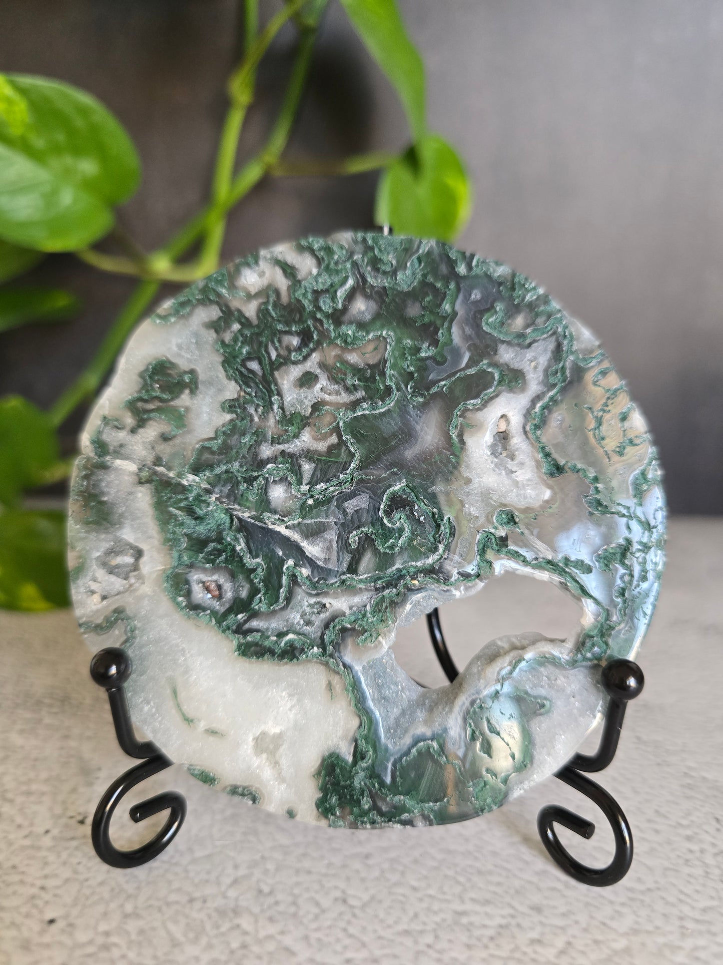 Moss Agate Disc